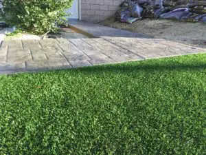 Orange County Backyard with Stamped Concrete